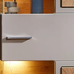 Wohnen Vitrinen<65x205x37 Wohnzimmerschrank mit Glaseinsätzen - Fraguca I